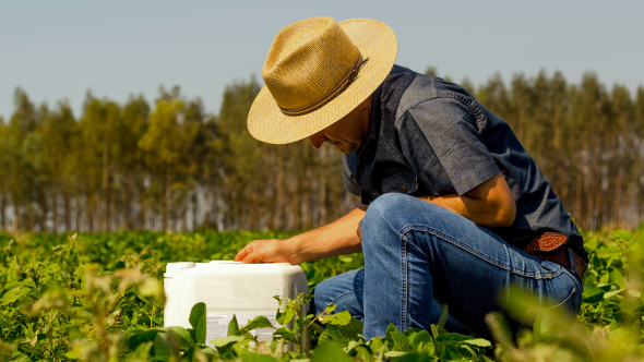 A început marea reciclare a ambalajelor din agricultură. De ce este importantă colectarea deșeurilor din acest sector